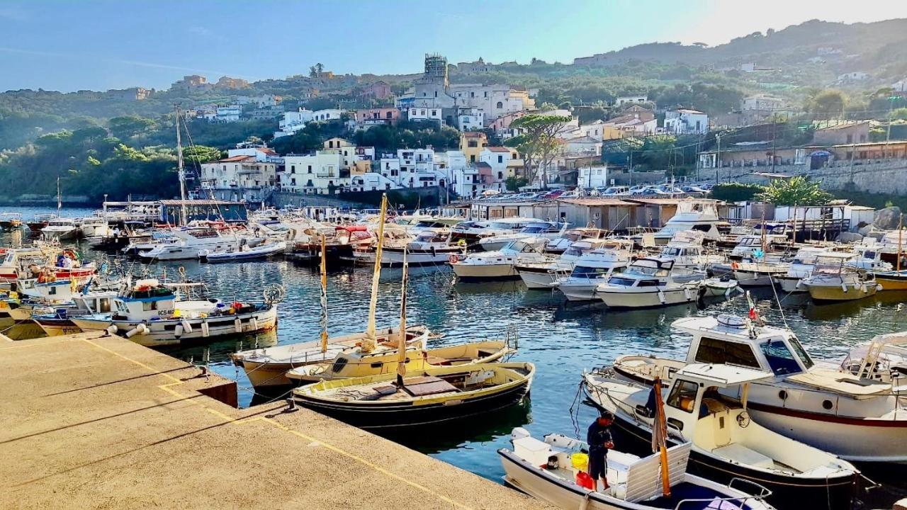Relais Del Mare Con Terrazza Fronte Mare Free Parking Διαμέρισμα Massa Lubrense Εξωτερικό φωτογραφία